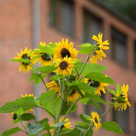 Umwelt Bildungszentrum *