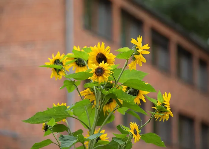 Umwelt Bildungszentrum *