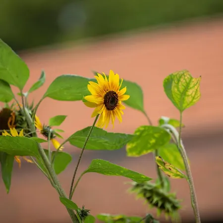 فندق Umwelt Bildungszentrum